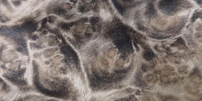 染色木饰面板.jpg 染色木饰面板.jpg