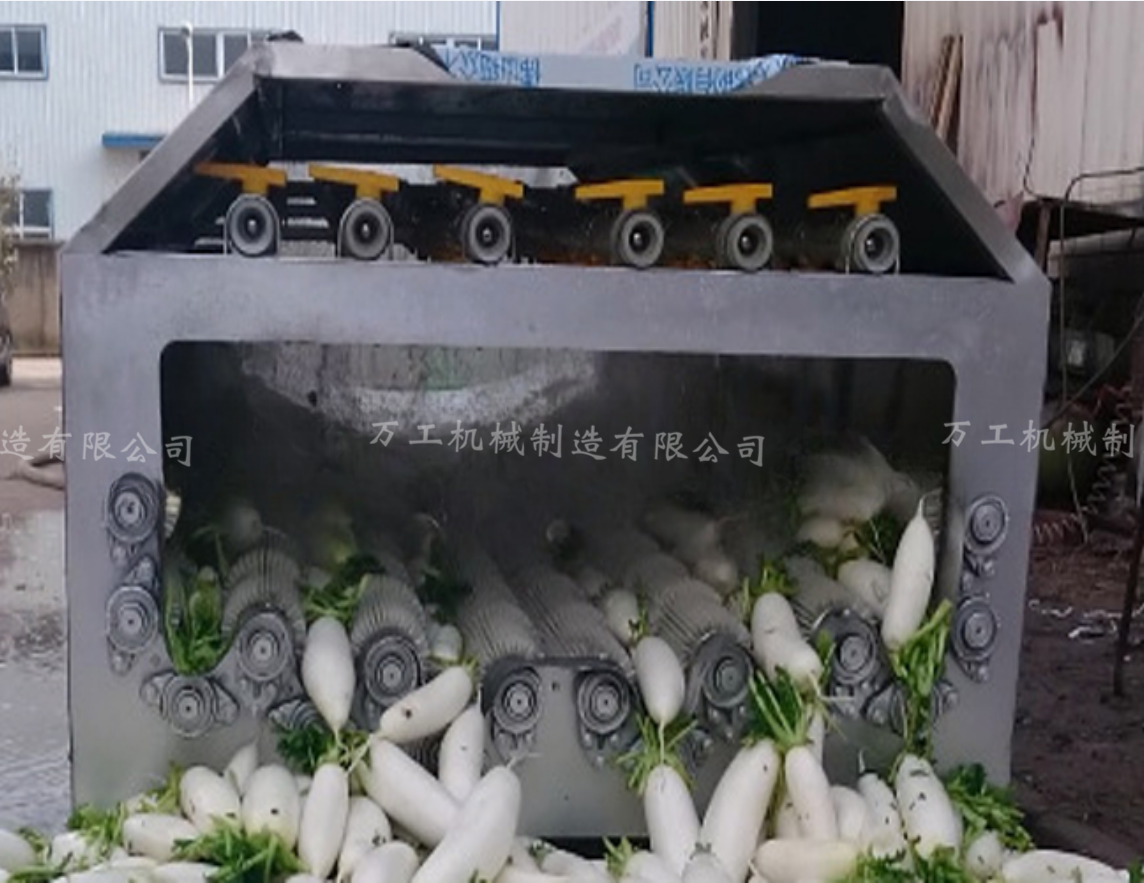 专业生产滚筒毛刷清洗机 水果蔬菜清洗机