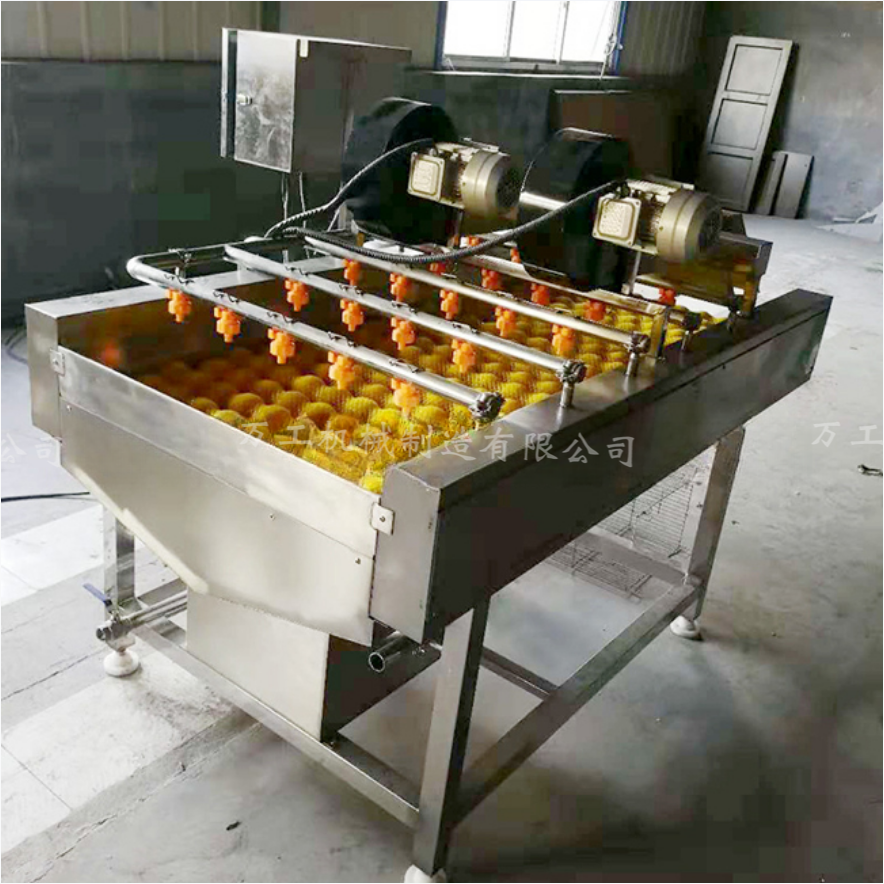 大枣清洗机 专业气泡清洗设备