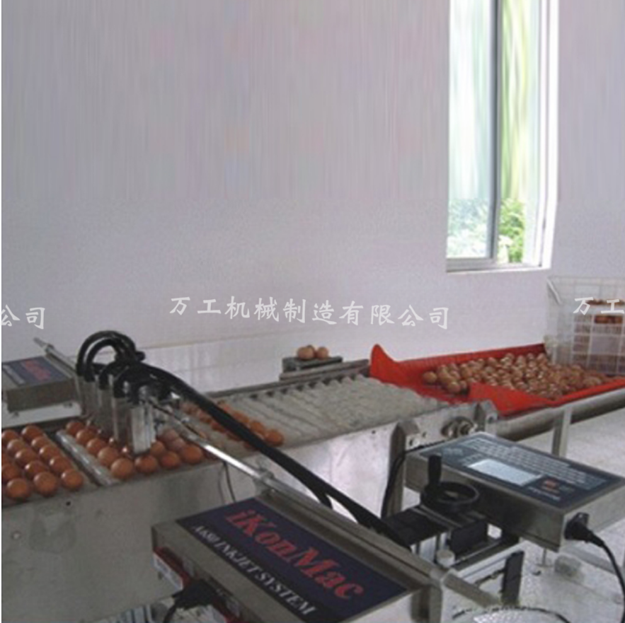 鸡鸭蛋蛋类清洗生产线